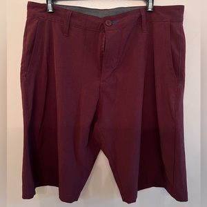 Burnside Hybrid Shorts